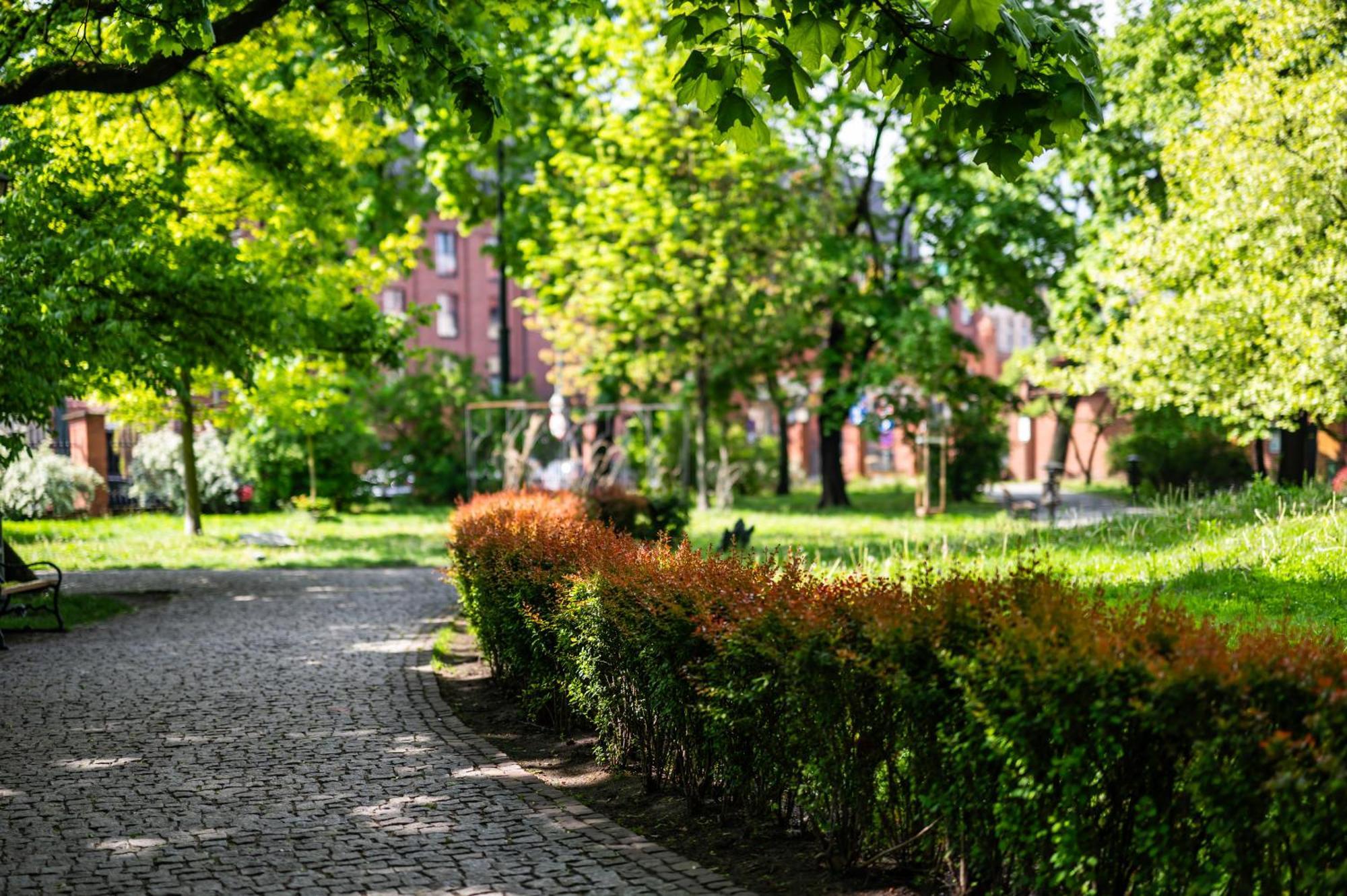 Katania Moxy Te&Am Cracow Daire Krakow Dış mekan fotoğraf