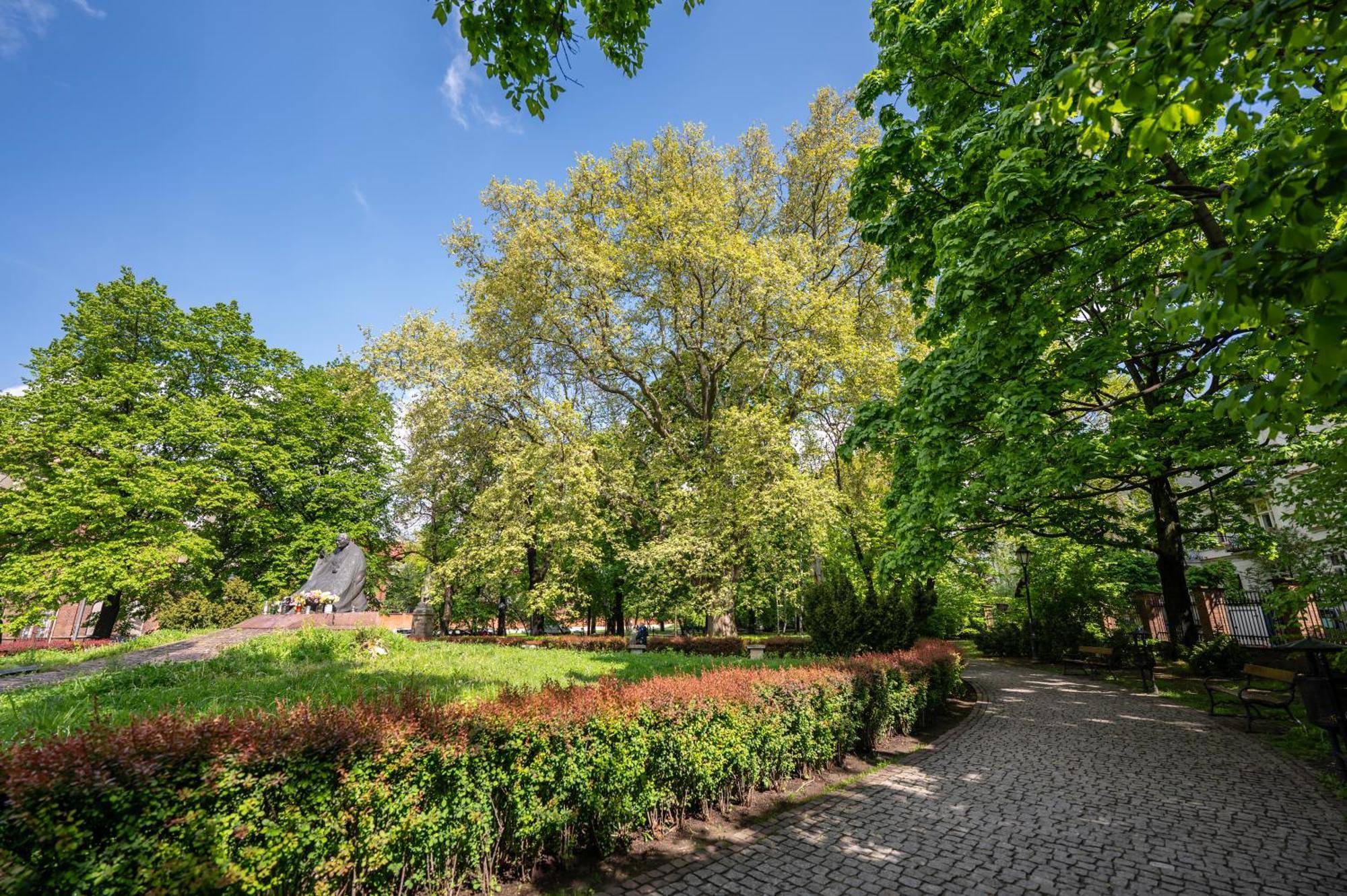 Katania Moxy Te&Am Cracow Daire Krakow Dış mekan fotoğraf